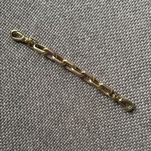 Bandolier Gold Chain Phone Case Accessory